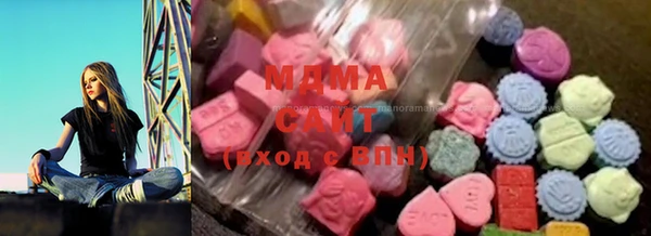 индика Белокуриха