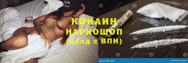 индика Белокуриха