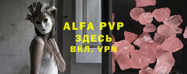 индика Белокуриха