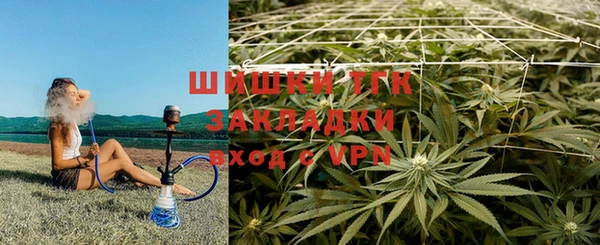 ГАЛЛЮЦИНОГЕННЫЕ ГРИБЫ Балахна
