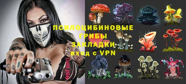ГАЛЛЮЦИНОГЕННЫЕ ГРИБЫ Балахна