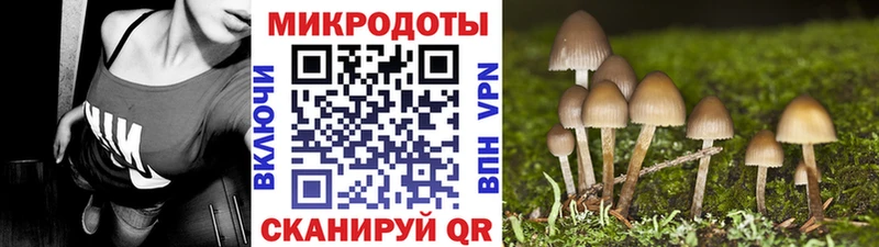 Псилоцибиновые грибы ЛСД Катайск